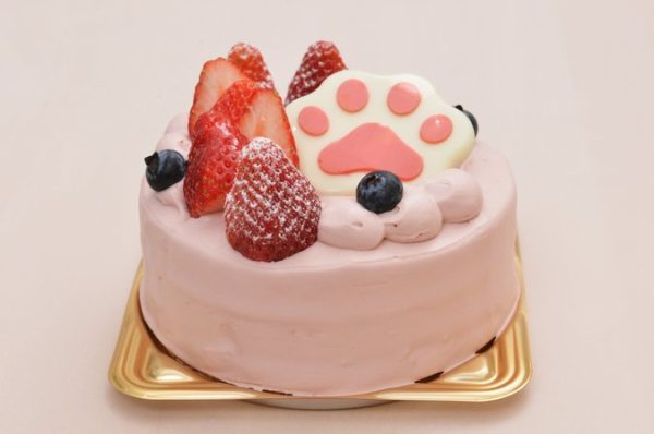 誕生日におすすめ 墨田区の人気ホールケーキ5選 バレンタイン マチしる東京