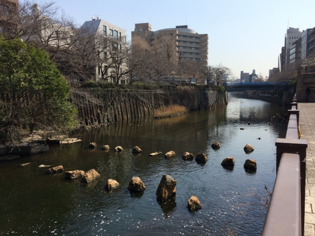 水位チェックも 目黒川の ライブカメラ まとめ 桜の季節にもおすすめ マチしる東京