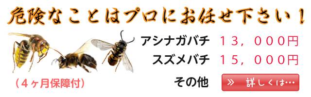 蜂の駆除のSAT